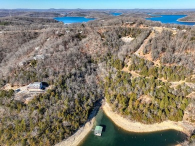 4.5 Acres of Lake Views, Cliffs, and Beaver Lake Frontage! - photo 22