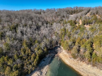 4.5 Acres of Lake Views, Cliffs, and Beaver Lake Frontage! - photo 23