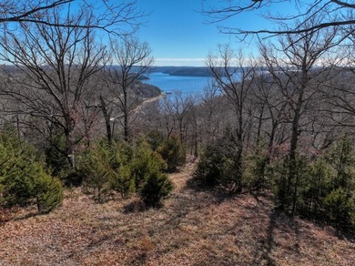 4.5 Acres of Lake Views, Cliffs, and Beaver Lake Frontage! - photo 24