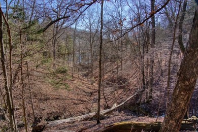 4.5 Acres of Lake Views, Cliffs, and Beaver Lake Frontage! - photo 25