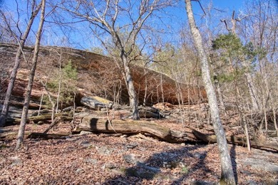4.5 Acres of Lake Views, Cliffs, and Beaver Lake Frontage! - photo 26