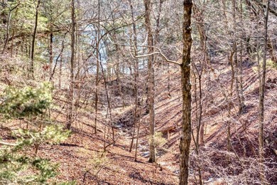 4.5 Acres of Lake Views, Cliffs, and Beaver Lake Frontage! - photo 27