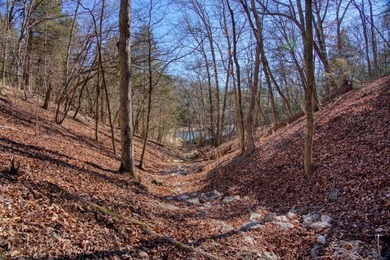 4.5 Acres of Lake Views, Cliffs, and Beaver Lake Frontage! - photo 28