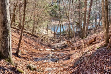 4.5 Acres of Lake Views, Cliffs, and Beaver Lake Frontage! - photo 29