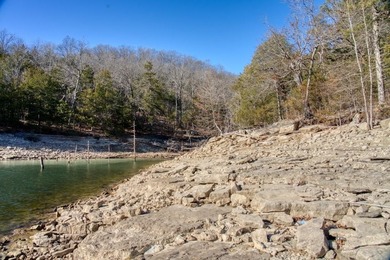 4.5 Acres of Lake Views, Cliffs, and Beaver Lake Frontage! - photo 30