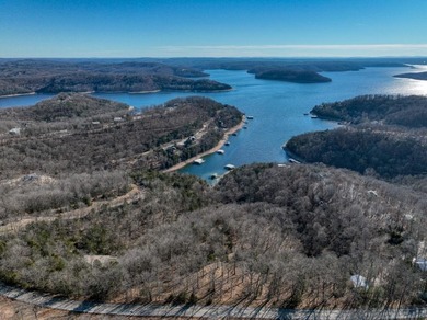 4.5 Acres of Lake Views, Cliffs, and Beaver Lake Frontage! - photo 31