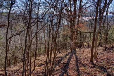 4.5 Acres of Lake Views, Cliffs, and Beaver Lake Frontage! - photo 32