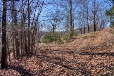 4.5 Acres of Lake Views, Cliffs, and Beaver Lake Frontage! - photo 33