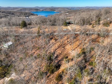 4.5 Acres of Lake Views, Cliffs, and Beaver Lake Frontage! - photo 34