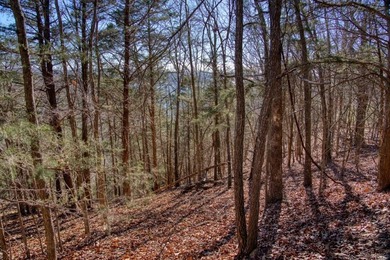 4.5 Acres of Lake Views, Cliffs, and Beaver Lake Frontage! - photo 35