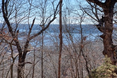 4.5 Acres of Lake Views, Cliffs, and Beaver Lake Frontage! - photo 36