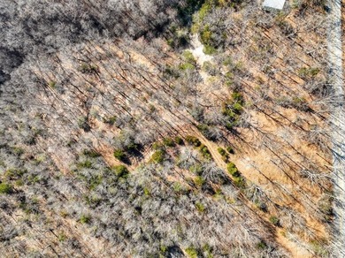 4.5 Acres of Lake Views, Cliffs, and Beaver Lake Frontage! - photo 37