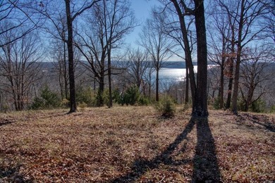 4.5 Acres of Lake Views, Cliffs, and Beaver Lake Frontage! - photo 38