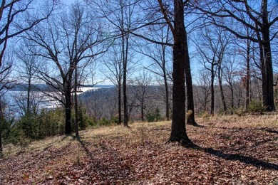 4.5 Acres of Lake Views, Cliffs, and Beaver Lake Frontage! - photo 39