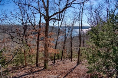 4.5 Acres of Lake Views, Cliffs, and Beaver Lake Frontage! - photo 40