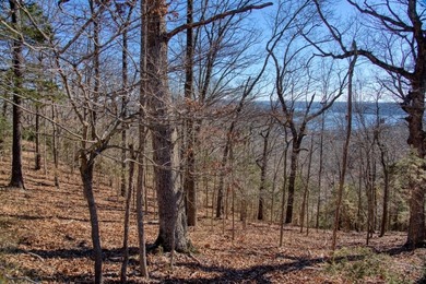 4.5 Acres of Lake Views, Cliffs, and Beaver Lake Frontage! - photo 41