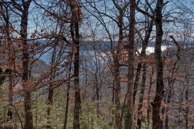 4.5 Acres of Lake Views, Cliffs, and Beaver Lake Frontage! - photo 42