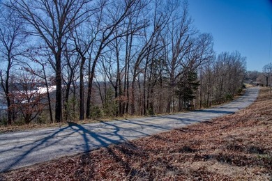 4.5 Acres of Lake Views, Cliffs, and Beaver Lake Frontage! - photo 43