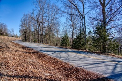 4.5 Acres of Lake Views, Cliffs, and Beaver Lake Frontage! - photo 44