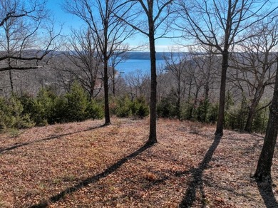 4.5 Acres of Lake Views, Cliffs, and Beaver Lake Frontage! - photo 45