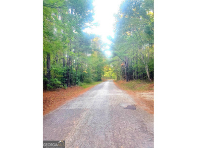 (private lake, pond, creek) Acreage For Sale in Locust Grove Georgia