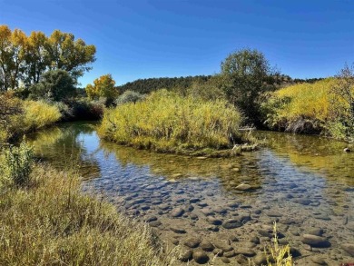 Lake Lot For Sale in Durango, Colorado