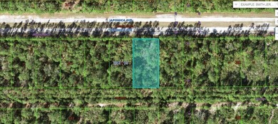 Lake Weohyakapka Lot For Sale in Indian Lake Estates Florida