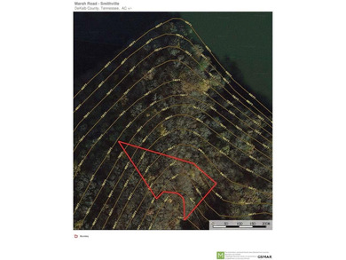 Beautiful, heavily wood lot adjoins U.S. Army Corps of Engineers - photo 3