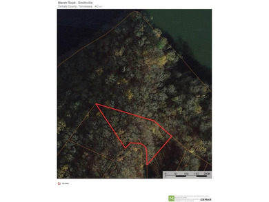 Beautiful, heavily wood lot adjoins U.S. Army Corps of Engineers - photo 4