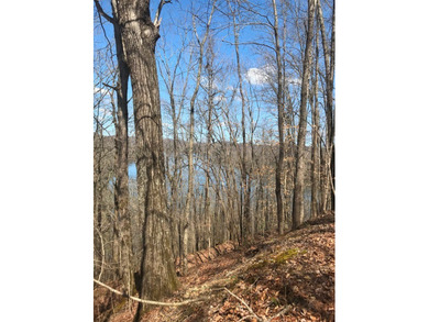 Beautiful, heavily wood lot adjoins U.S. Army Corps of Engineers - photo 5