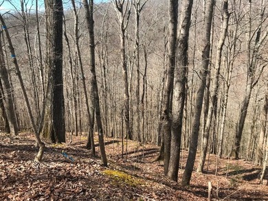 Beautiful, heavily wood lot adjoins U.S. Army Corps of Engineers - photo 8