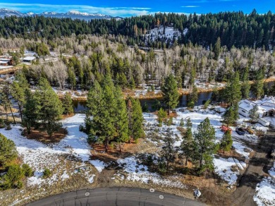 (private lake, pond, creek) Lot For Sale in Mccall Idaho