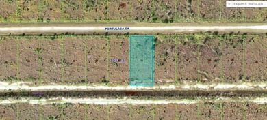 Lake Weohyakapka Lot For Sale in Indian Lake Estates Florida