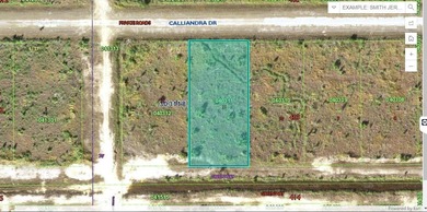 Lake Weohyakapka Lot For Sale in Lake Wales Florida