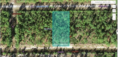 Lake Weohyakapka Lot For Sale in Indian Lake Estates Florida
