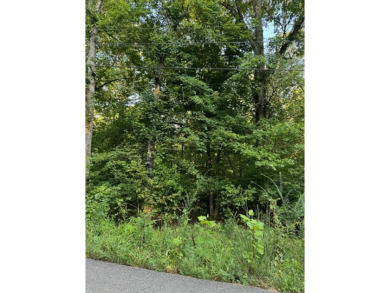 Spring Lake Lot For Sale in Hardy Arkansas