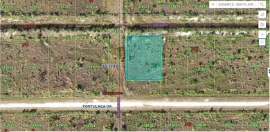 Lake Weohyakapka Lot For Sale in Indian Lake Estates Florida