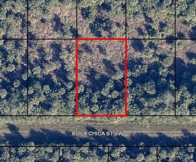 Build your dream home on this 0.23-acre residential lot in Port - photo 4