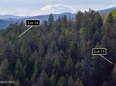 370 and 398 Peregrine offer two acres to build your private - photo 11