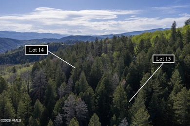 370 and 398 Peregrine offer two acres to build your private - photo 12