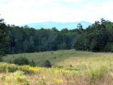 (private lake, pond, coastal) Acreage For Sale in Campobello South Carolina