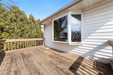 A unique opportunity to transform this lovely 3-bedroom Euclid - photo 35