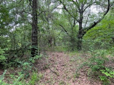 Here is your opportunity to purchase lots in the highly - Lake Lot Sale Pending in Trinidad, Texas