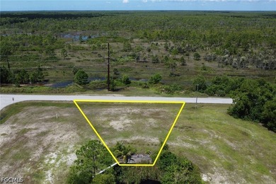 Seize this extraordinary opportunity to own a sprawling 13,000 - photo 4