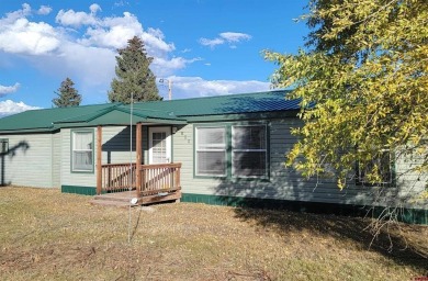 South Fork Rio Grande River Home For Sale in South Fork Colorado