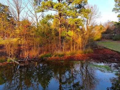 Located in Quitman, the county seat of Wood County, this - photo 11