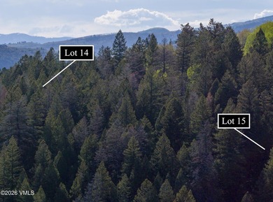 370 and 398 Peregrine offer two acres to build your private - photo 11