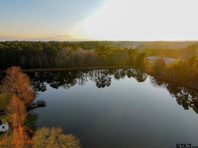 Located in Quitman, the county seat of Wood County, this - photo 12