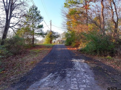 Located in Quitman, the county seat of Wood County, this - photo 14
