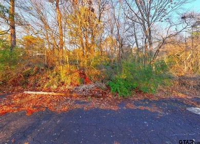 Located in Quitman, the county seat of Wood County, this - photo 15